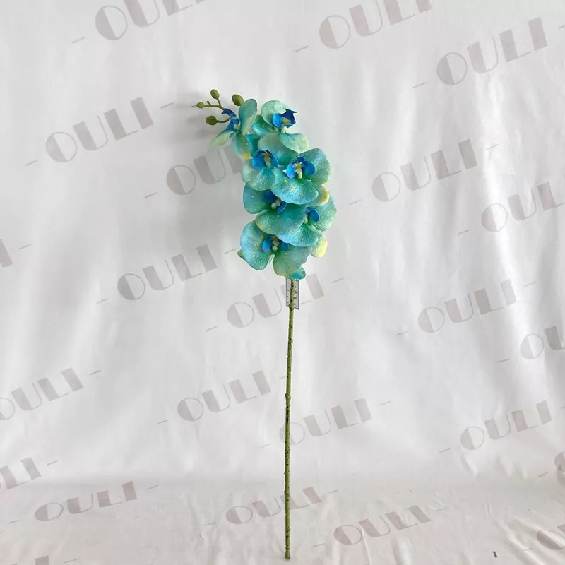 7頭の偽の蘭の花