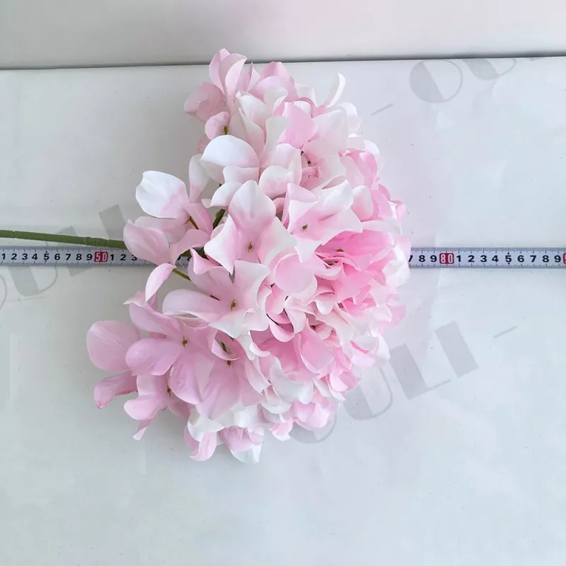 大きなアジサイの偽の花