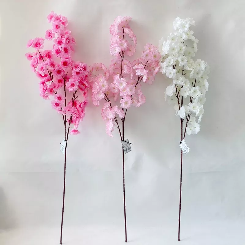 桜の花の花