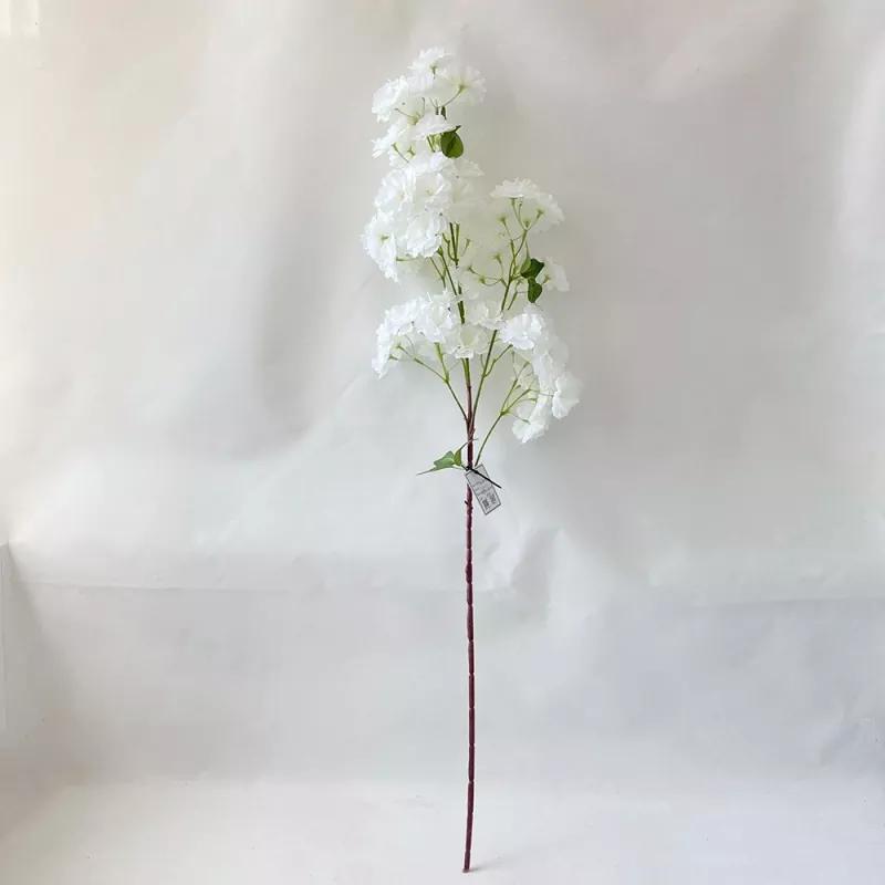 桜の花の花
