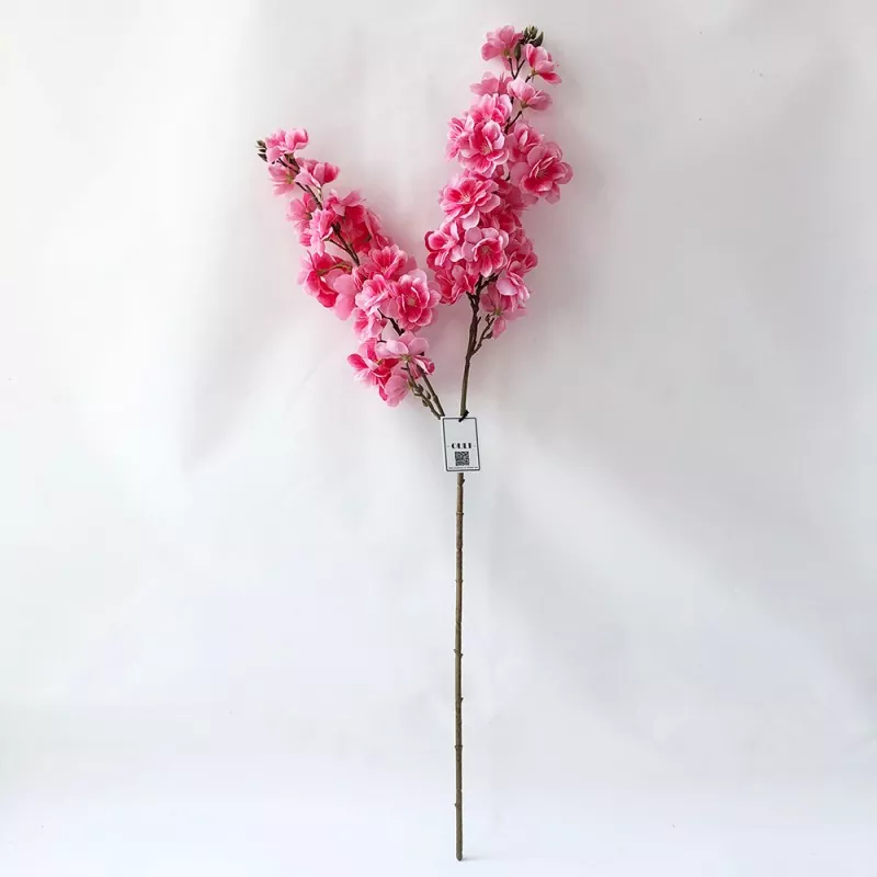 偽の富士の桜の花
