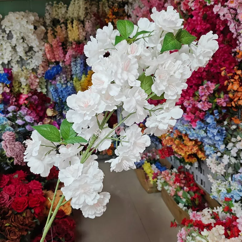 白い桜の花の花