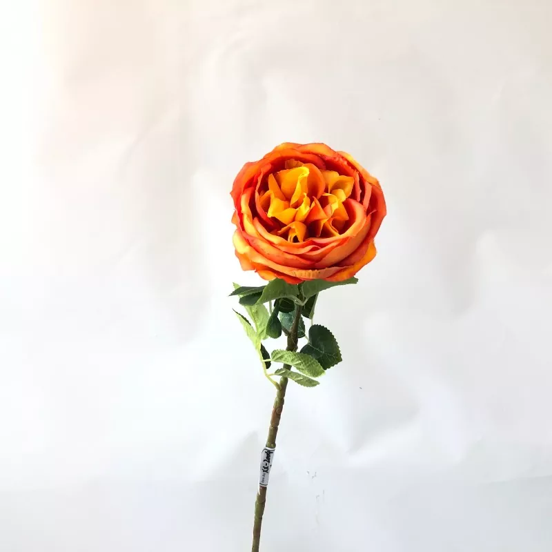 白い偽の牡丹の花